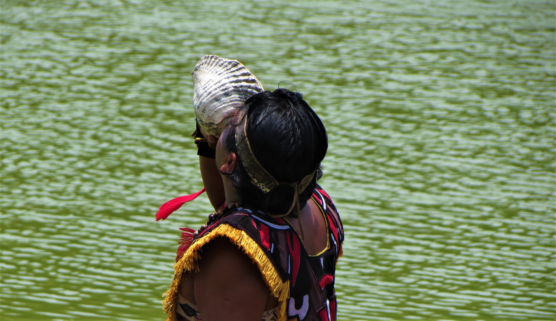 pueblos indigenas